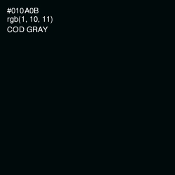 #010A0B - Cod Gray Color Image